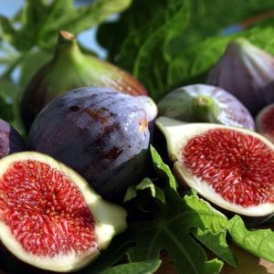 Mediterranean Fig Fragrance – Discontinued