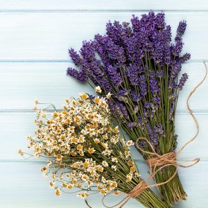 Lavender & Chamomile Fragrance – Allergen Free
