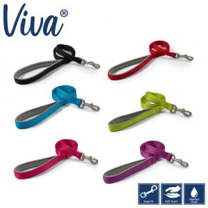 Viva Padded Nylon Lead