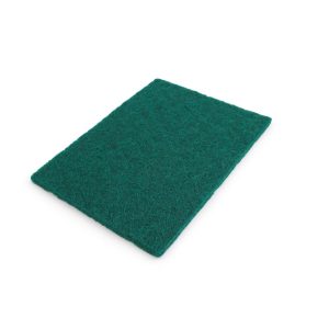 Commercial Scourer
