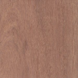 Sapele 46x21mm (METRE (46 x 21mm))