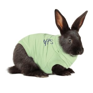 MPS Medical Pet Shirt: Rabbit