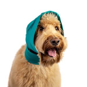 KVP Kong No Flap Ear Wrap