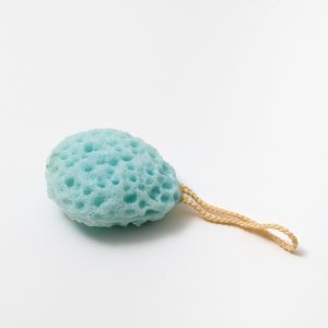 Small Sponge – Blue