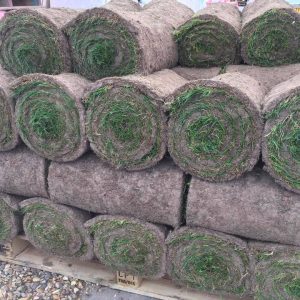 Grade A Cultivated Turf | 1m2 Roll