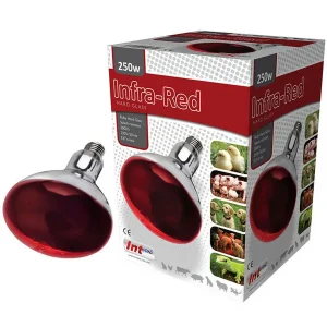 Ruby Red Hard Glass Infra-Red Bulb – 250 Watt