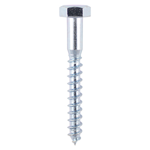 Coach Screw | Zinc